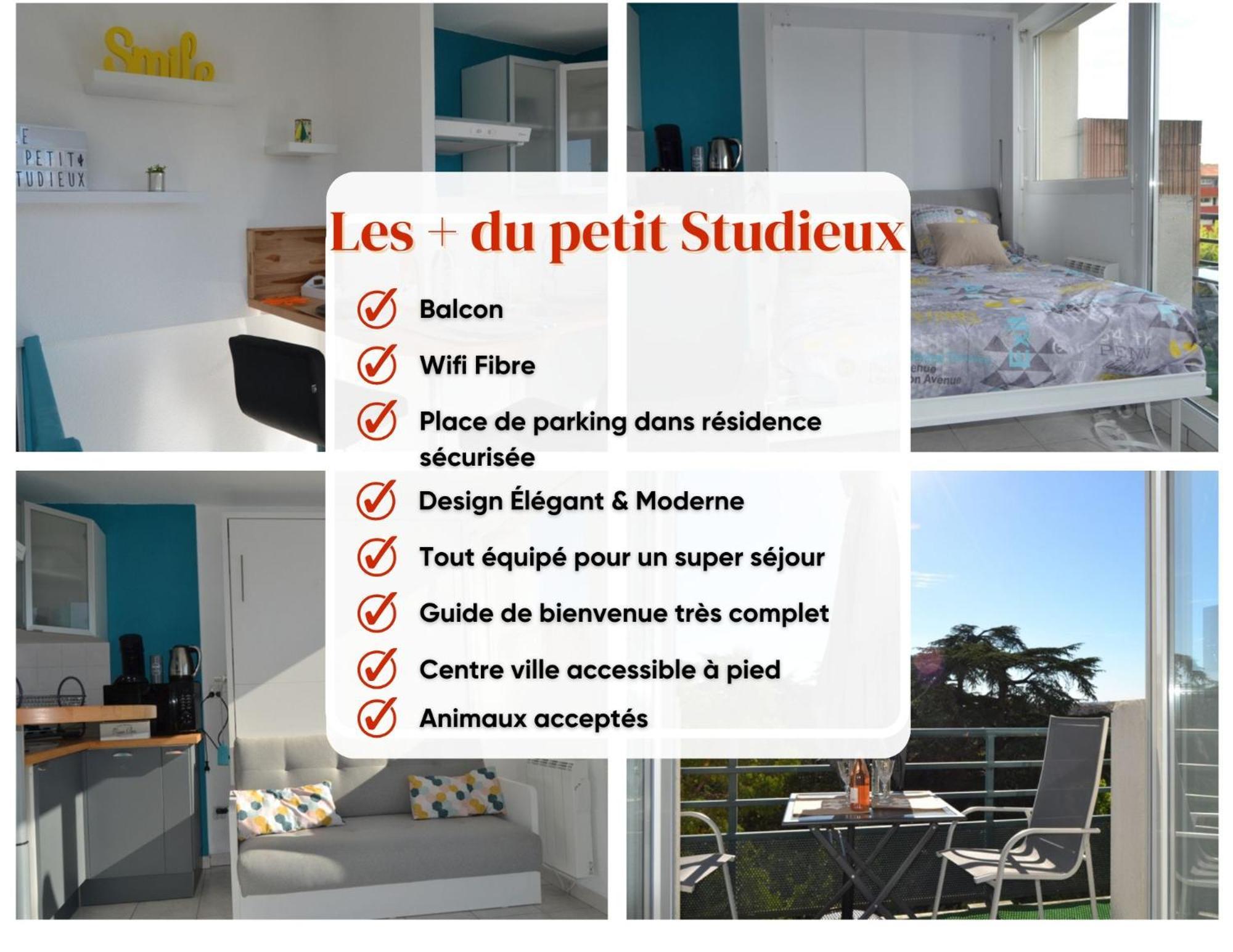 Le Petit Studieux - Parking - Animaux Acceptes - Centre Ville Accessible A Pied 알비 외부 사진
