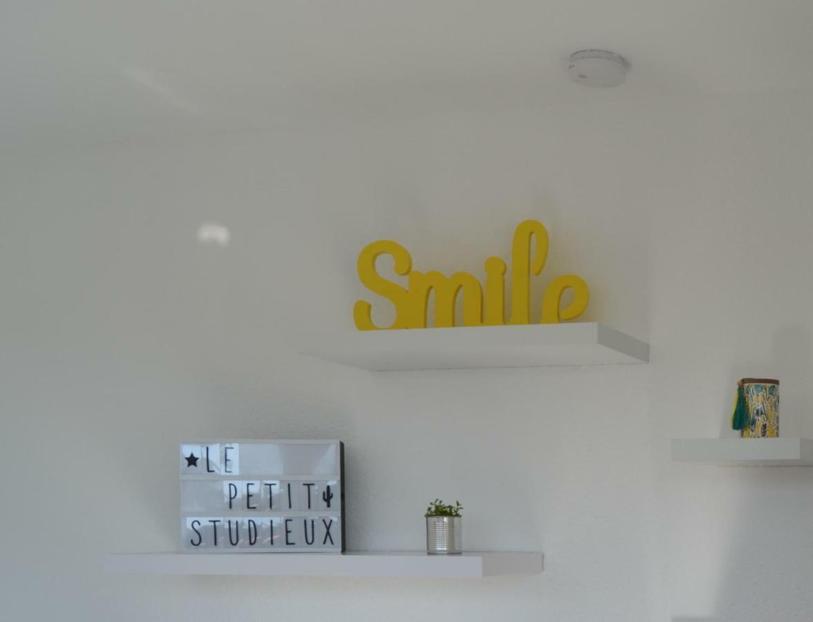 Le Petit Studieux - Parking - Animaux Acceptes - Centre Ville Accessible A Pied 알비 외부 사진