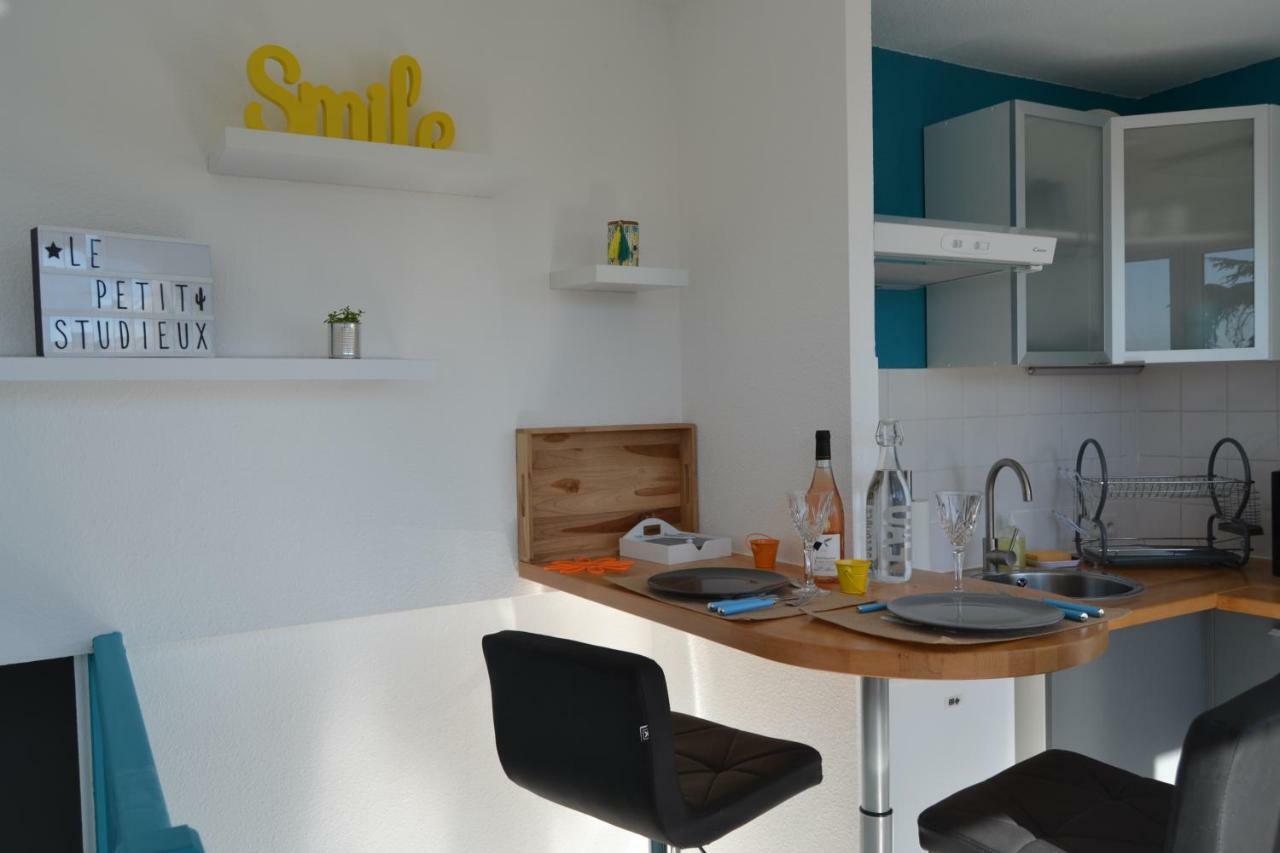 Le Petit Studieux - Parking - Animaux Acceptes - Centre Ville Accessible A Pied 알비 외부 사진