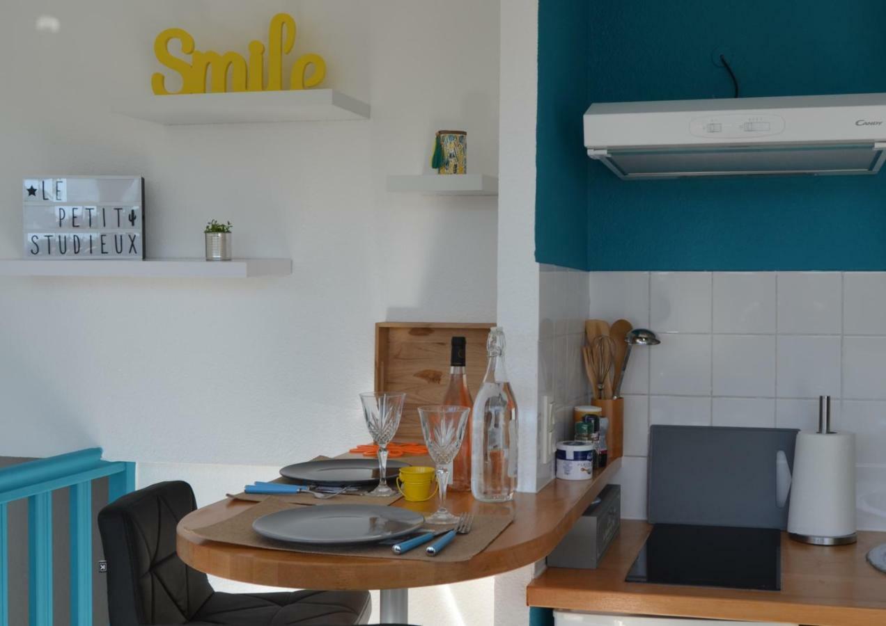 Le Petit Studieux - Parking - Animaux Acceptes - Centre Ville Accessible A Pied 알비 외부 사진