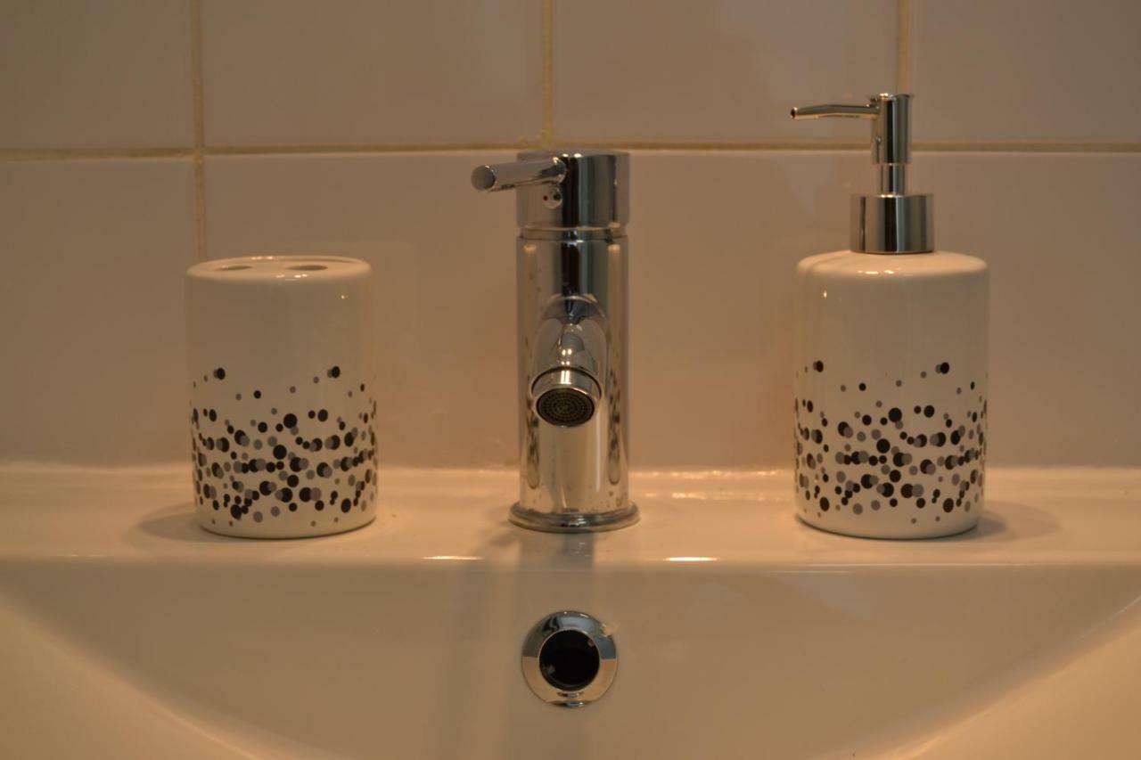 Le Petit Studieux - Parking - Animaux Acceptes - Centre Ville Accessible A Pied 알비 외부 사진
