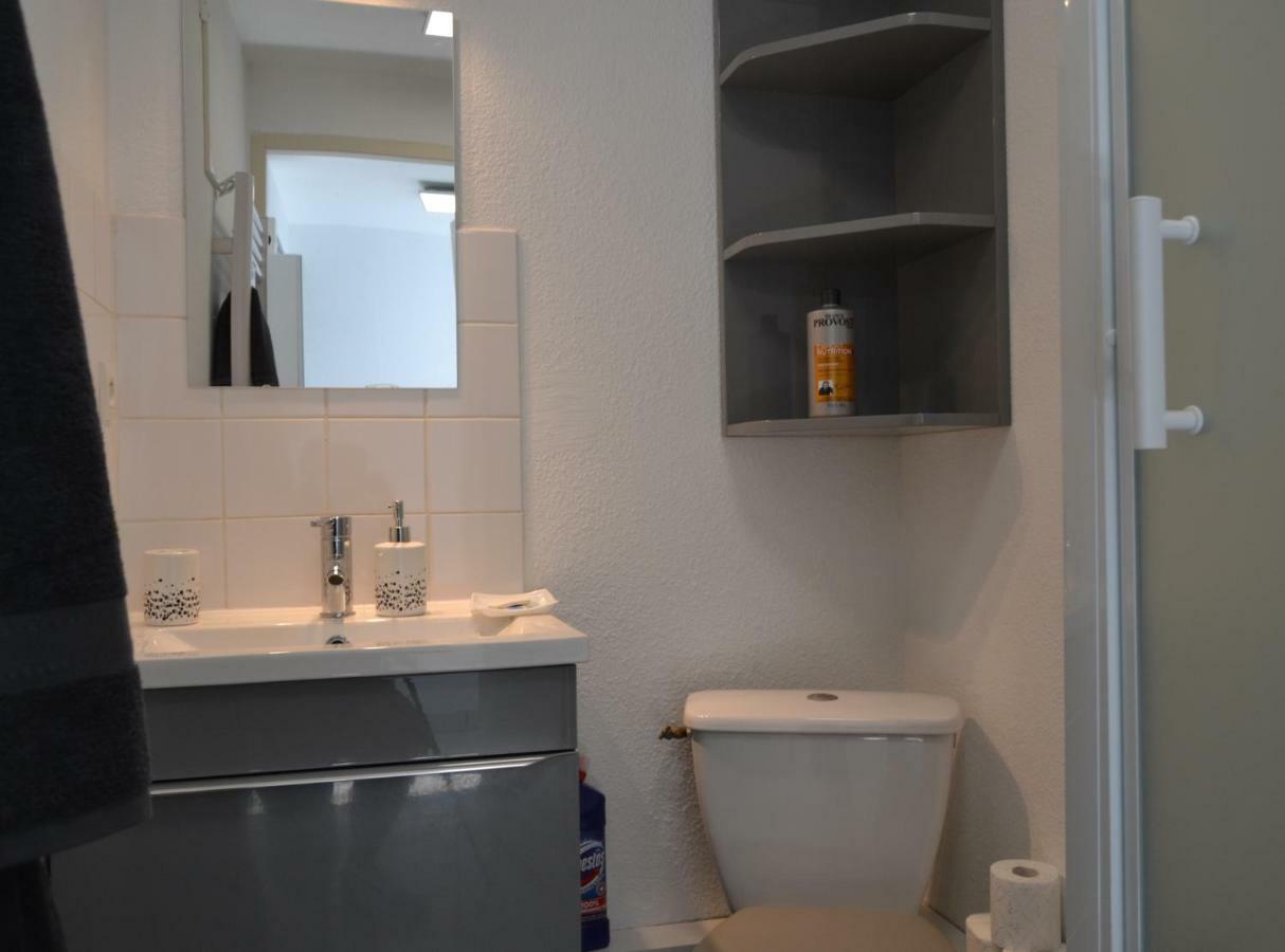 Le Petit Studieux - Parking - Animaux Acceptes - Centre Ville Accessible A Pied 알비 외부 사진