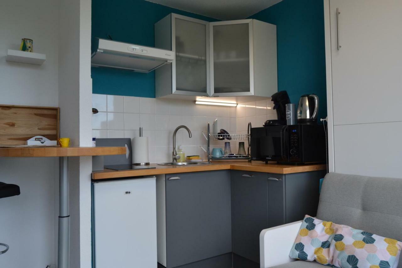 Le Petit Studieux - Parking - Animaux Acceptes - Centre Ville Accessible A Pied 알비 외부 사진