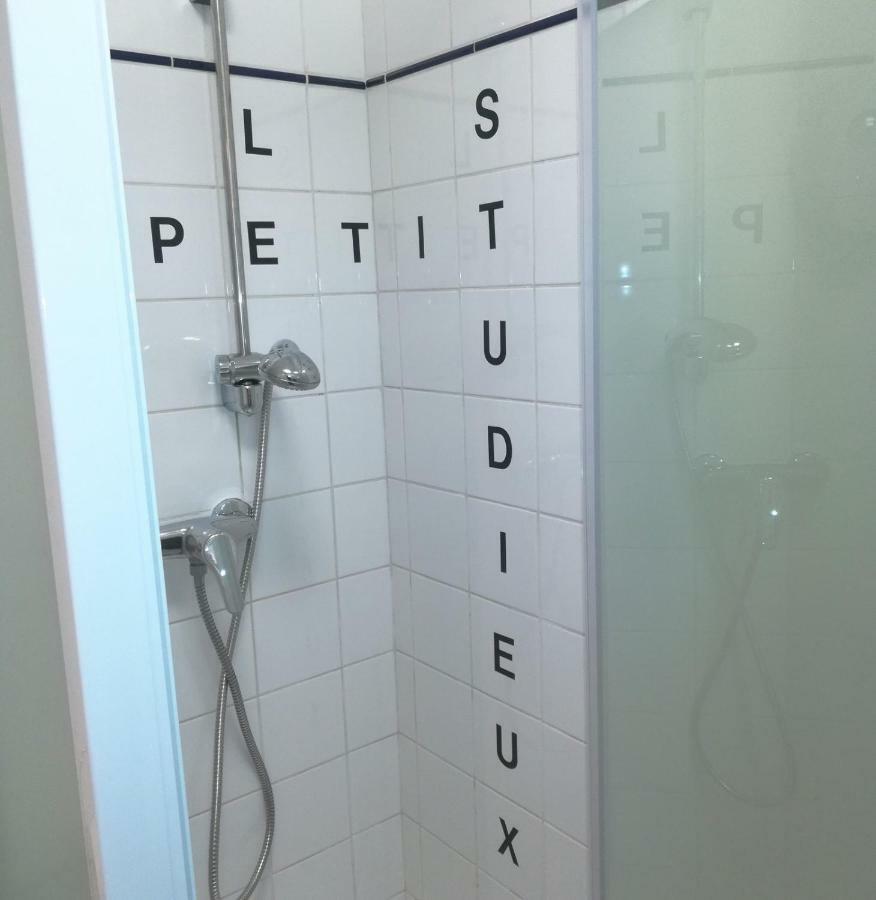 Le Petit Studieux - Parking - Animaux Acceptes - Centre Ville Accessible A Pied 알비 외부 사진