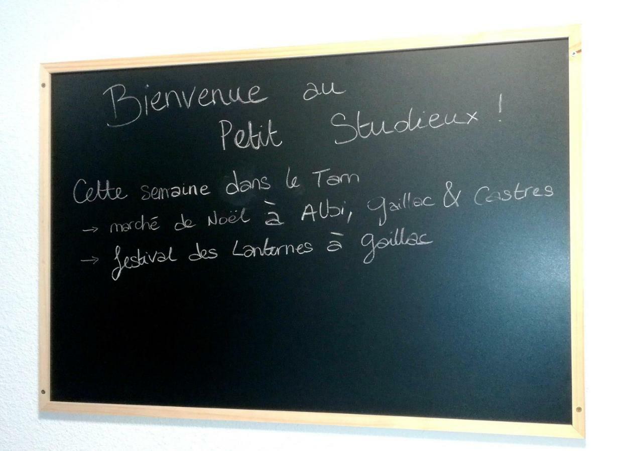 Le Petit Studieux - Parking - Animaux Acceptes - Centre Ville Accessible A Pied 알비 외부 사진